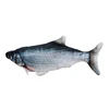Cyprinus Carpio
