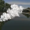 Encrypted white