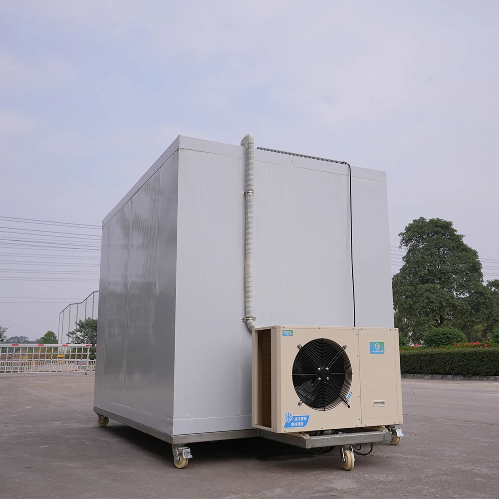 20ft Mini Easy Operate Cold Room Supplier Sale Container Commercial Refrigeration Compressor Unit Freezer Storage Room for Meat