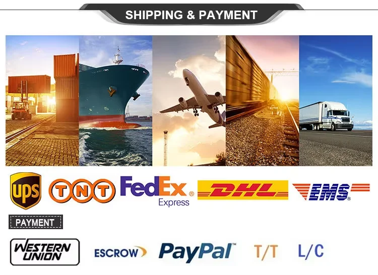 D Plus 1 Month Premium Subscription Account Software Professional ...