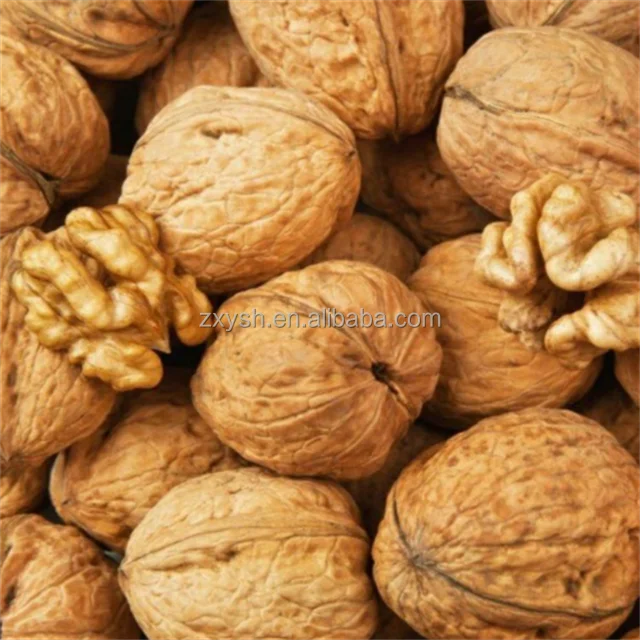 China Origin Wholesale Walnuts With Shell High Quality Healthy Buy