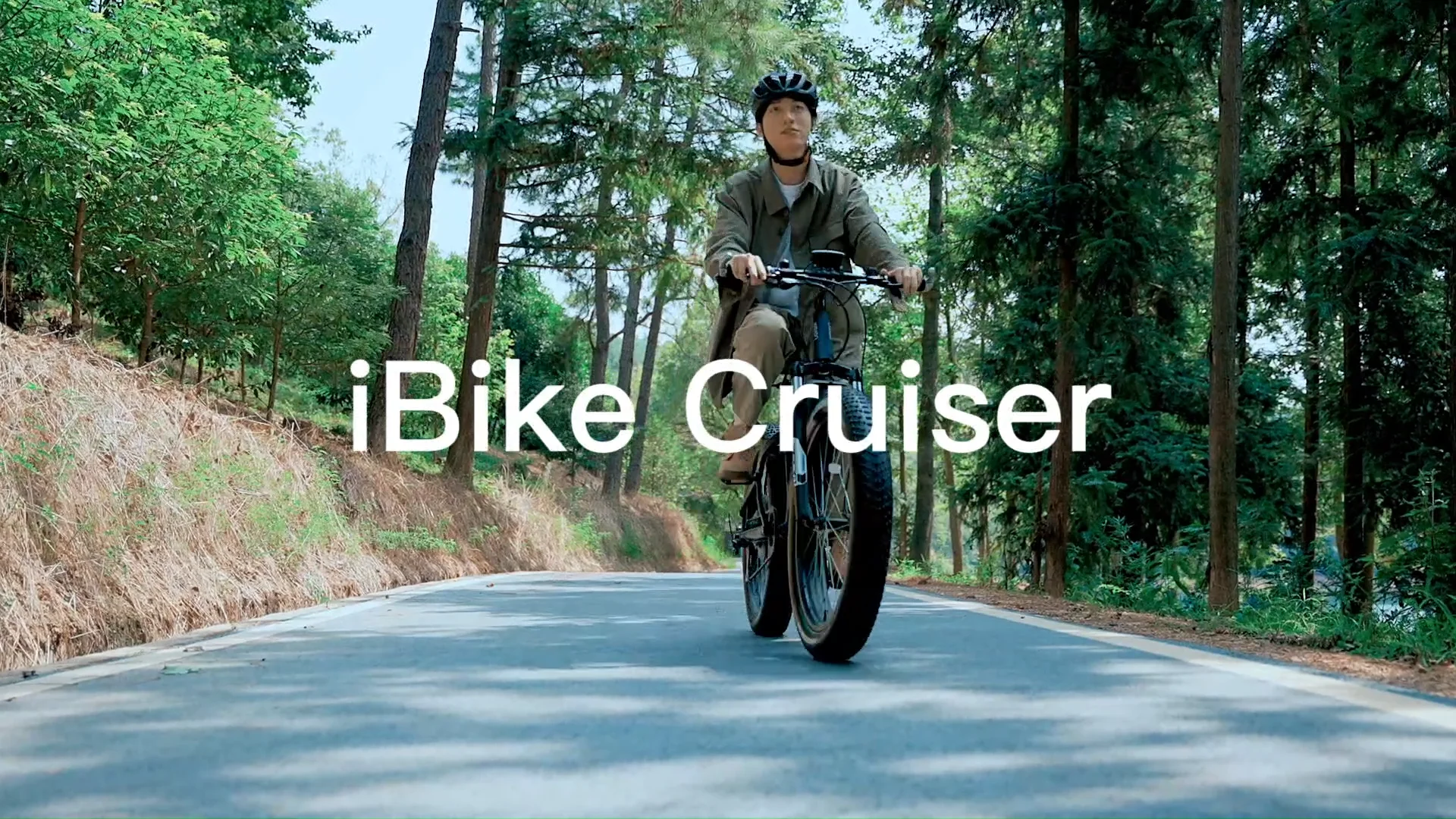 Torque Sensor Pedal Assist Ebike Bicycle City E Bike Electric Fat Tire Bike Buy Torque Sensor