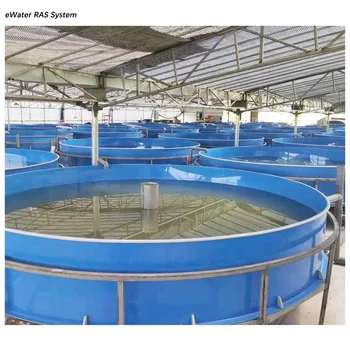 Ras Recirculation Aquaculture System Layout Design Indoor Fish Farming ...