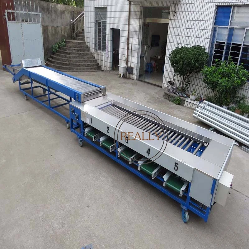 2024 Automatic Fruit Sorting Sorter Weight Size Potato Tomato Vegetable Grader Grading Machine