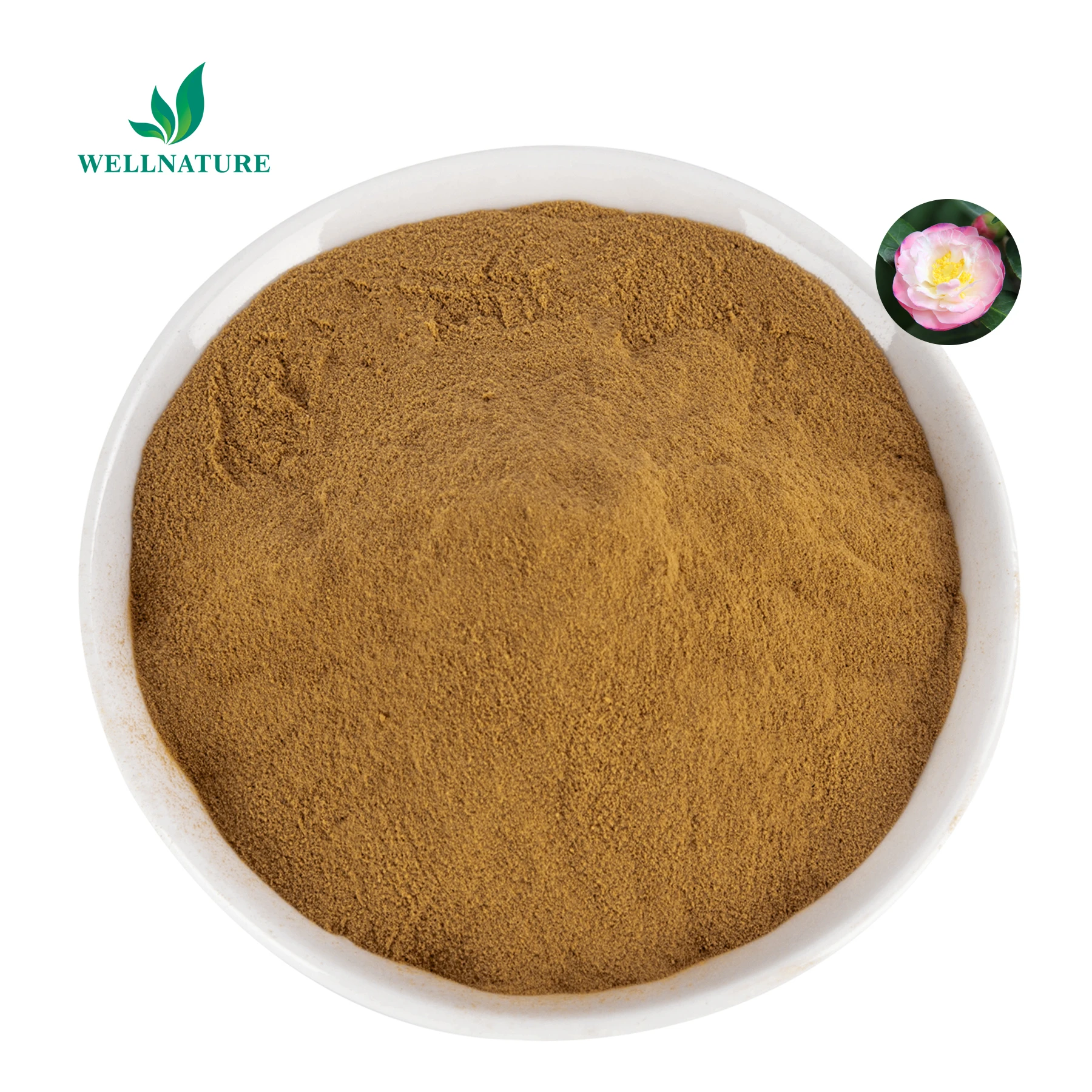 Camellia Flower Extract Powder Camellia Japonica Flower Extract Factory  Sale Direct High Quality Best Price