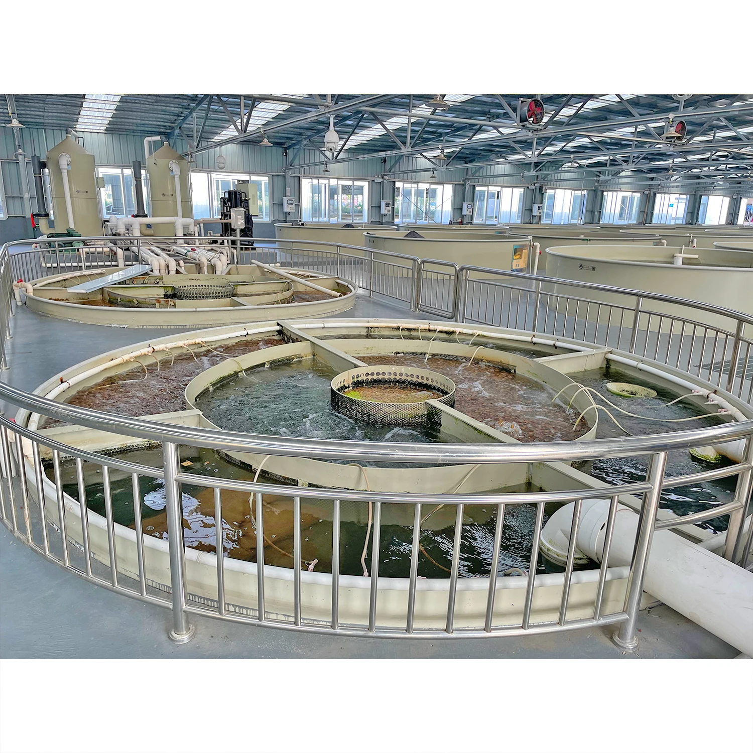 Industrial Ras Aquaculture Farming Fish Farming Machine Tilapia Recirculating Aquaculture System Pisciculture Equipment