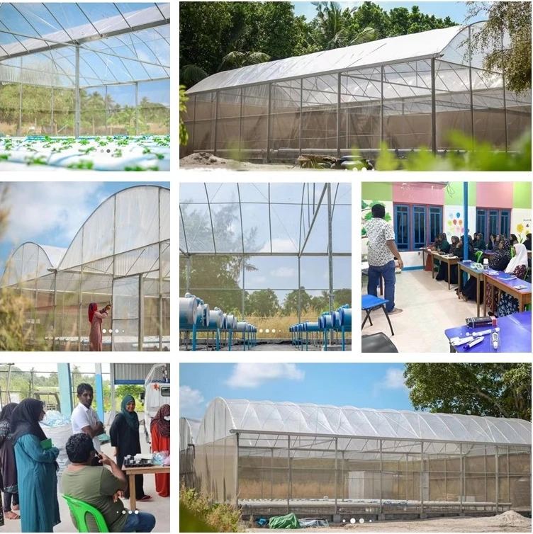 large greenhouse