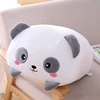 Panda bianco e nero