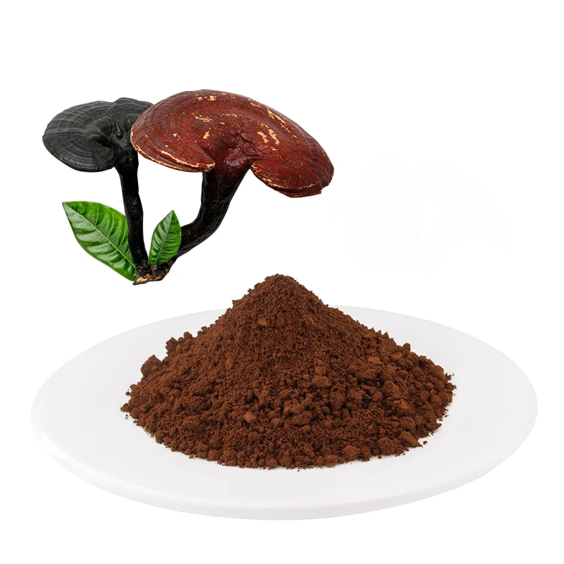 Private Label Ganoderma Reishi Extract Instant Hot Chocolate Powder Coffee Five Flavor