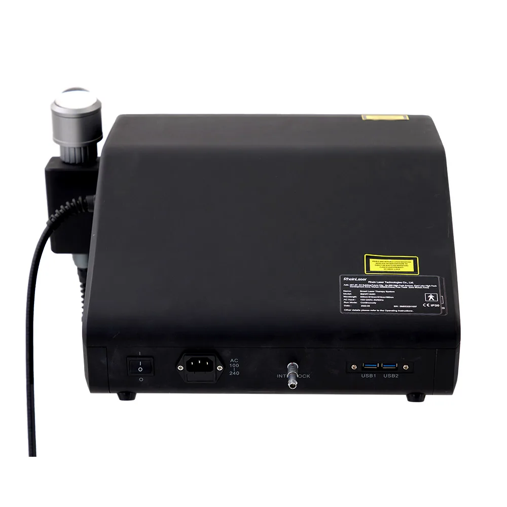 Smart ICE Class 4 High Power Physical Therapy Laser Machine 30w 45w 60w Laser Physiotherapy Equipment