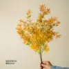 Orange bamboo leaves with ribbon tied