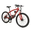 Red Spoke Rim mountain bike