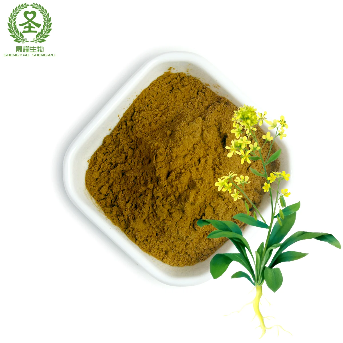 High Quality Pure Natural20:1 Radix Isatidis Isatis Indigotica Fort ...