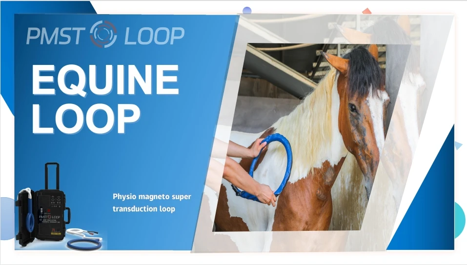 Electro Wave Therapy Machine Pemf Loop Pain Reduction Therapy Devices For