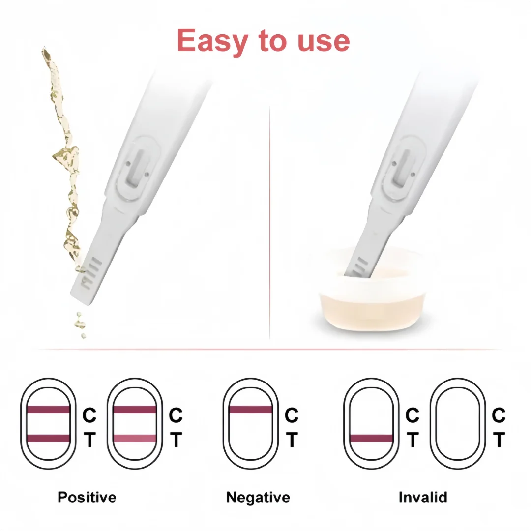 Highly Accurate Pregnancy Rapid Test Kit for Early Detection 99% Reliable Multipack Pathological Analysis Equipment Model HCG