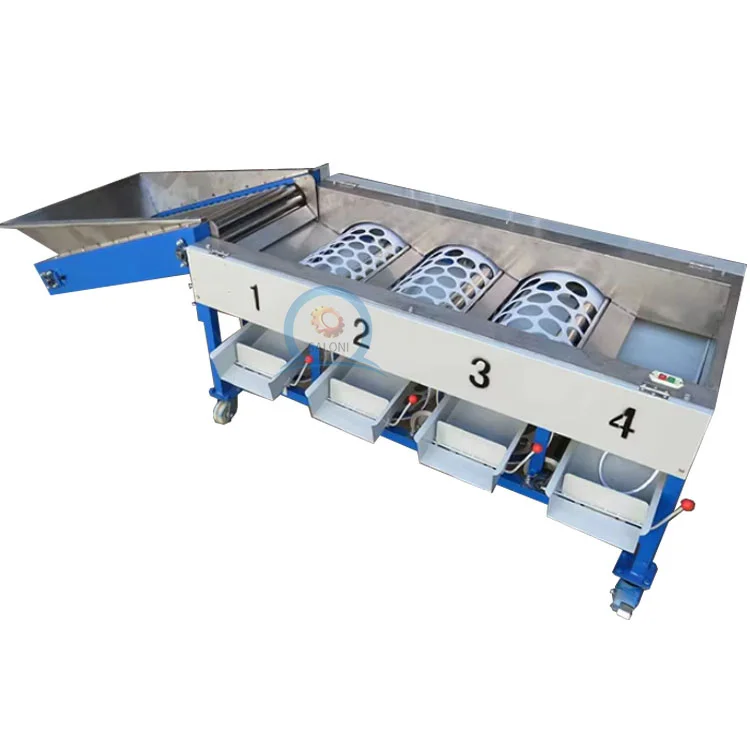 Fully Automatic mango Date Cherry Vegetable Fruit Olive Garlic Size Grading Sorting Machine for Fruit and Table