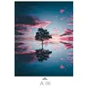 Multicolor-A06