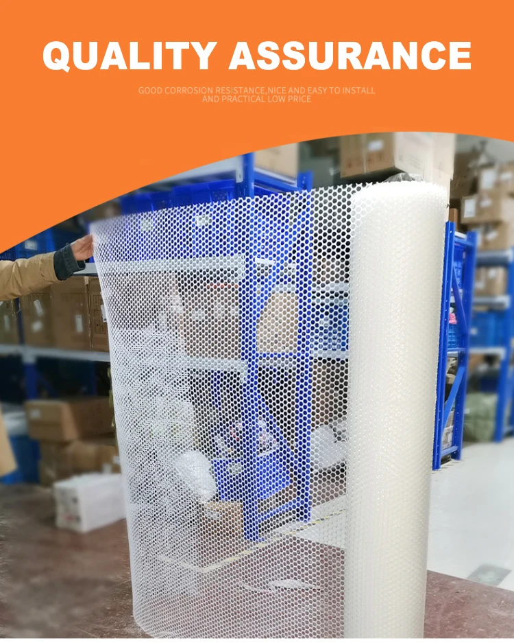 Livestock Chicken Net Broiler Egg Chicken Plastic Ground Net