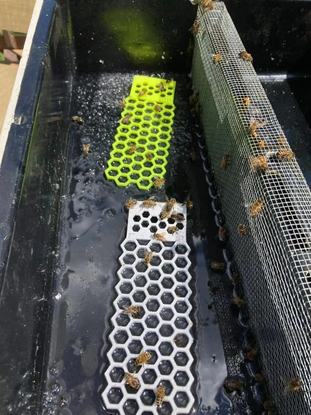 Floating Bee Ladder,Bees, Insects, Drinking Water, Bees, Ladders, Insects, Floating Bees, Ladders