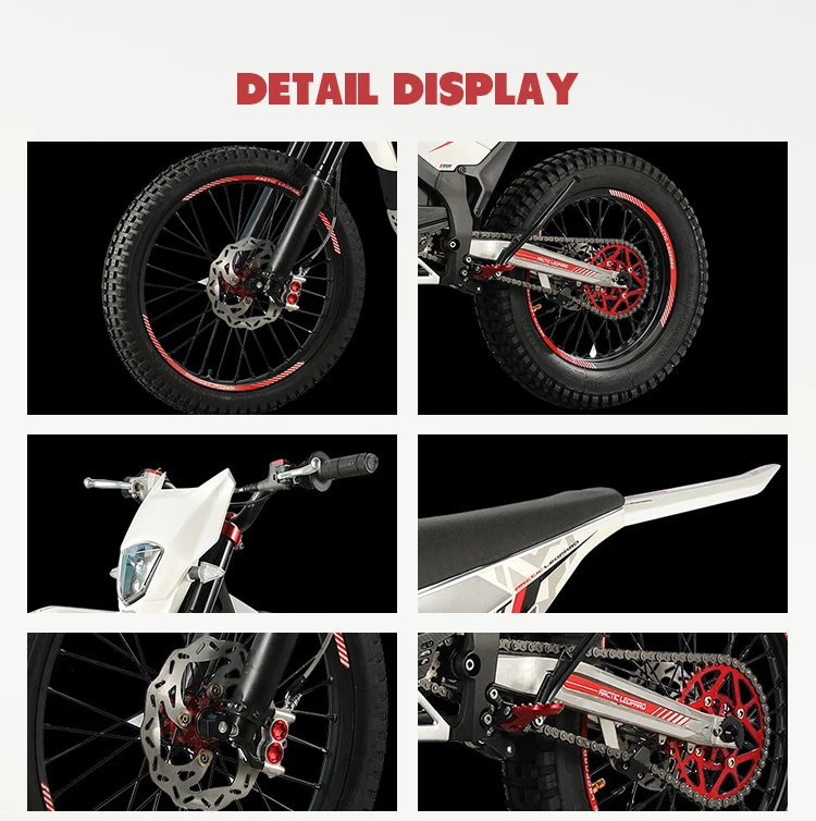 Arctic Leopard Cheetah EXE 880 125Km /h 74V 75Ah OFF-ROAD Electric