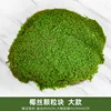 Décoration de mousse vert clair de grande taille (1 pièce)