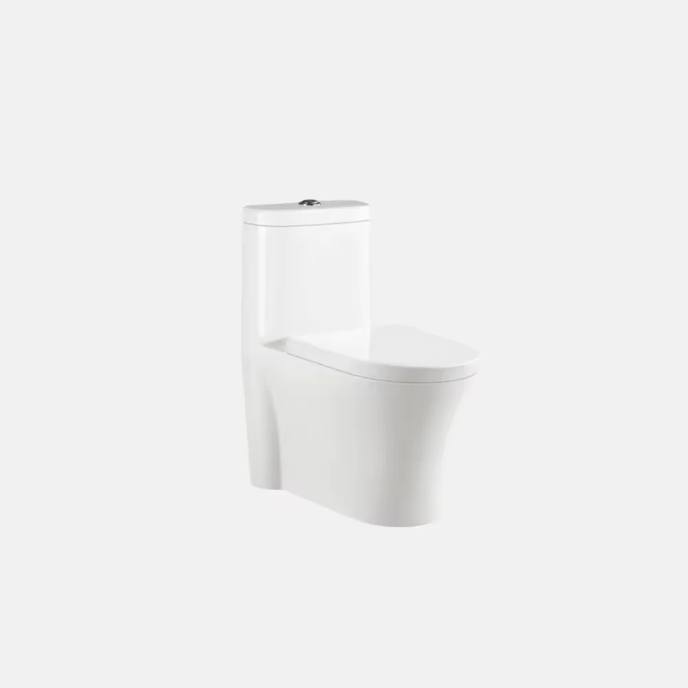 Chaozhou Factory cUPC Certified Floor Mounted Dual Flush One-Piece Ceramic Sitting Toilet
