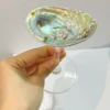 Blue Abalone  glass stem