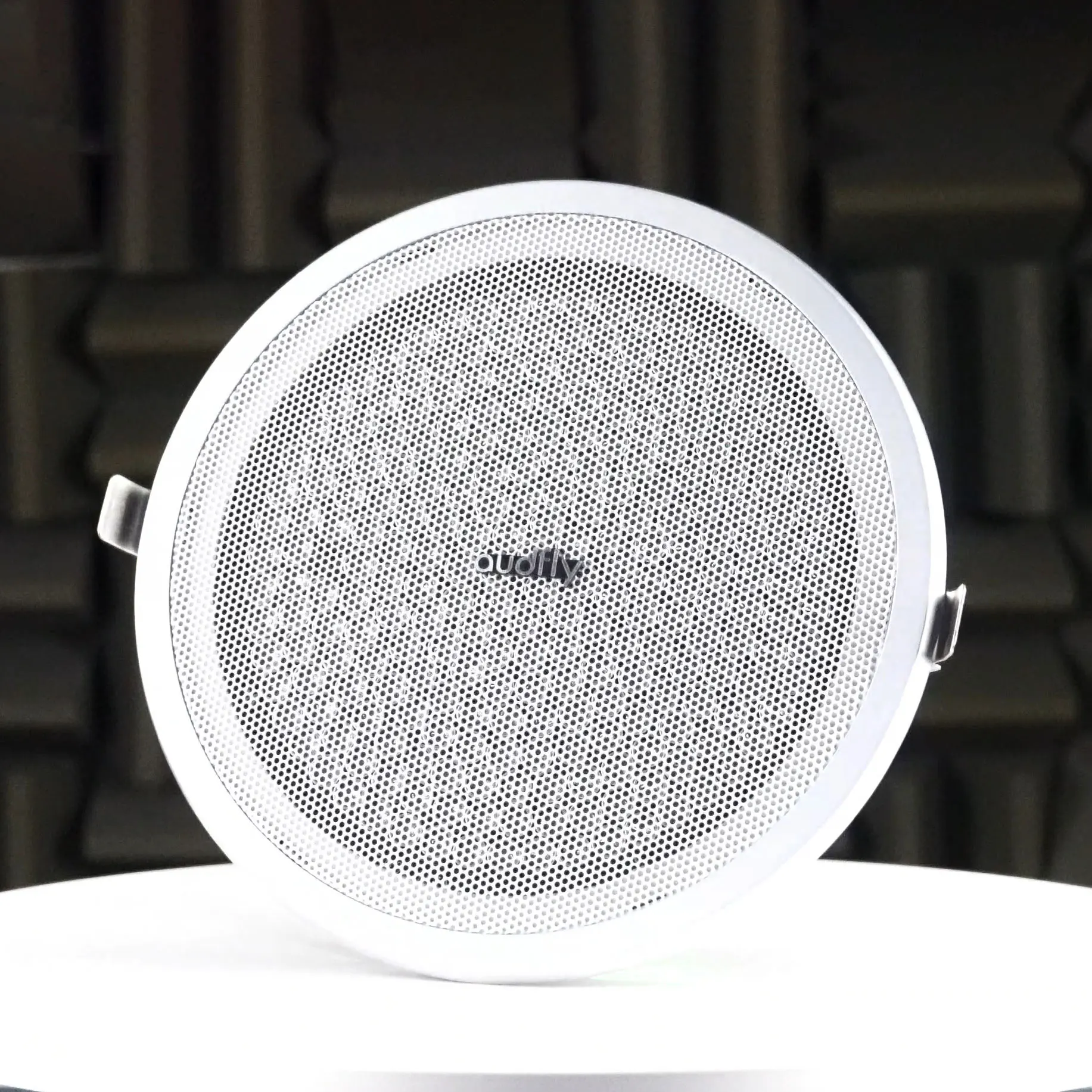 Audfly Focus Audio Professional Parametric Beam Sound Speaker for