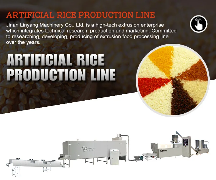 Fortified Rice Extruder Machinery FRK Fortified Rice Progress Line ...