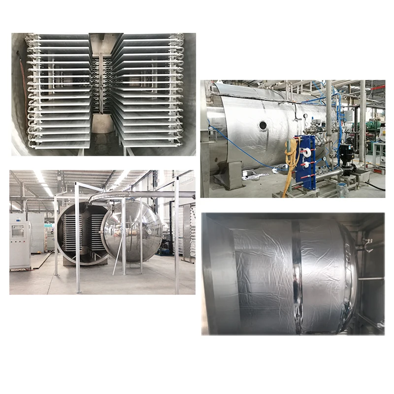 TCA Automatic Coffee Lyophilizer Vegetable Food Vacuum Freeze Dryer Production Line