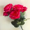 Rosa Roja