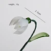January Magnolia
