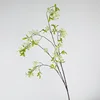 Ramas blancas que lloran de una flor sonriente.