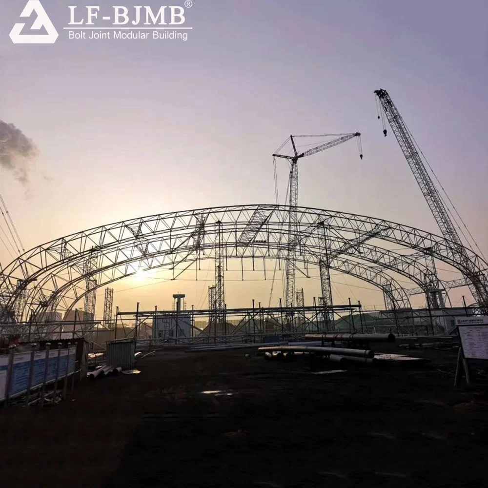 LF Arch Steel  Roof Structure Dry Shell Bunker Building Space Frame Truss Coal Storage Shed Manufacturer for Power Plant