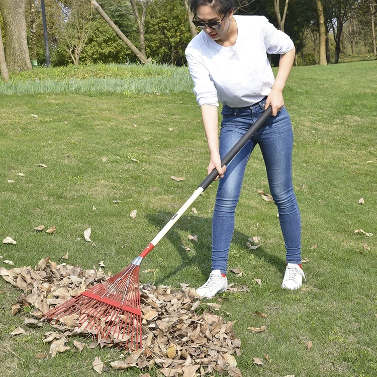 14 Tine Electric Lawn Rake RK22-101 Grass Tools Garden Tools China