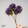 Deep purple hydrangea