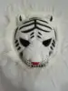 Tigre H
