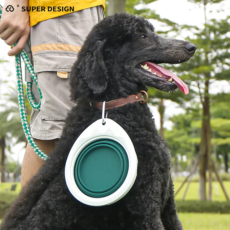 760ml Pet Portable Travel Bowl Custom Brand Pet Dog Food Water Feeder