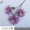 Three-headed Giant Claw Daisy XH Purple