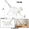 colorato PL127-3348 Country Cat