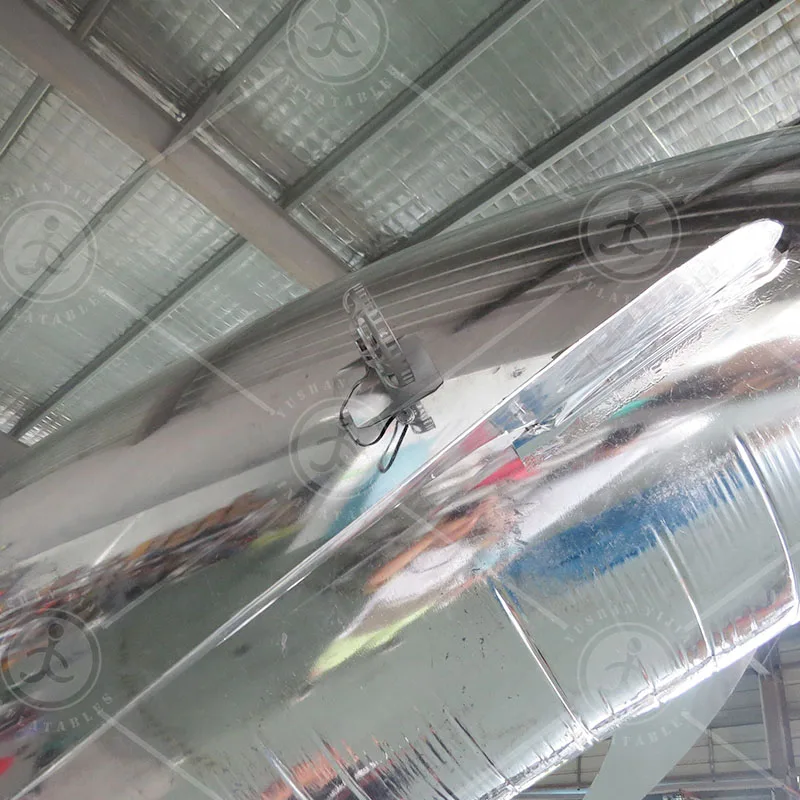 Custom Party Decoration Remote Control Flight Helium Dolphins Cartoon