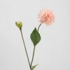 Petite boule pennée de Dahlia des Pays-Bas (rose champagne)
