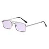 Silver Frame / Purple Lens