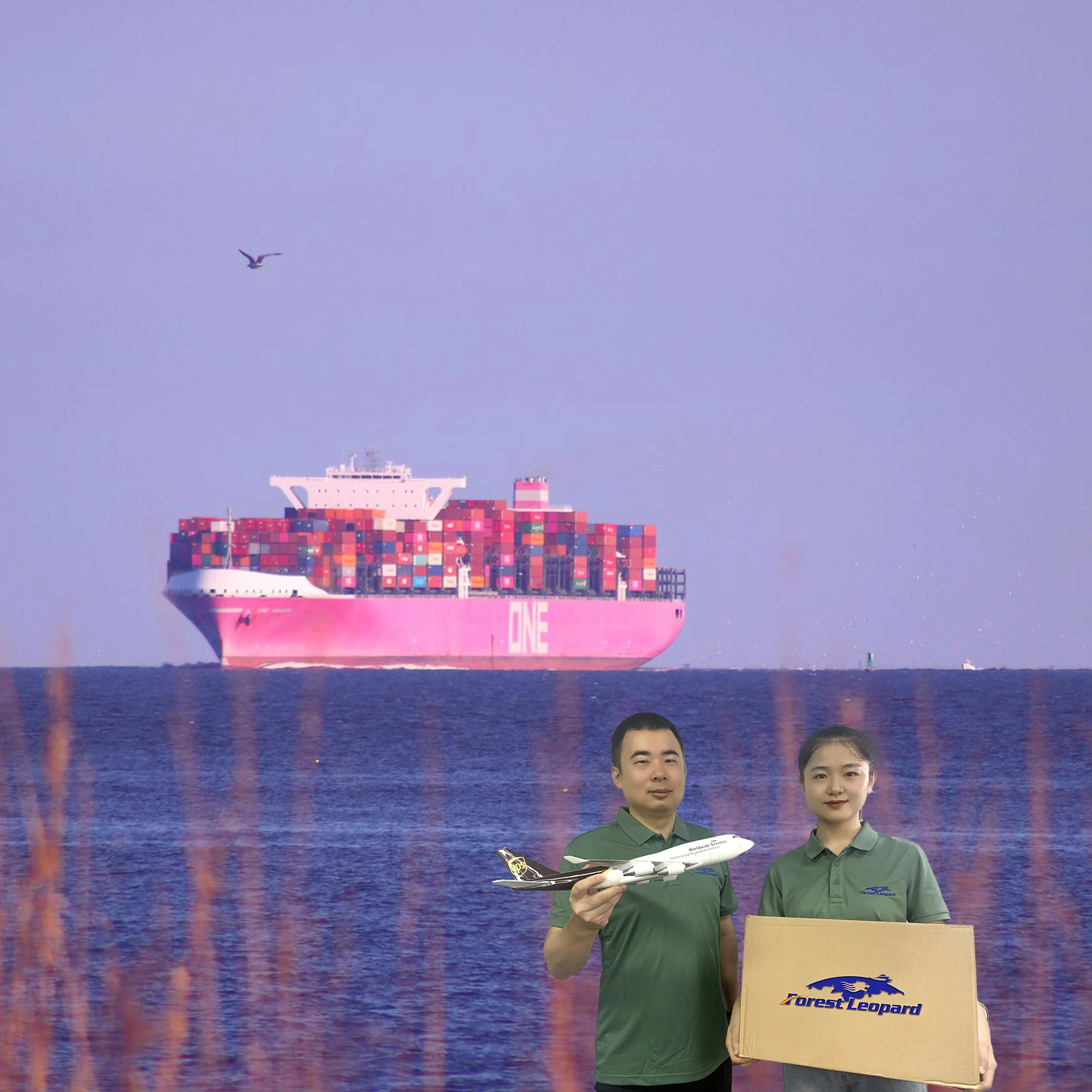 Cheap Freight Ddp FBA Door to Door Forwarder Delivery Shipping Service From China to Uk Usa France Belgium Australia