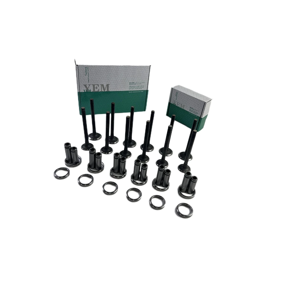 Intake and Exhaust Valve Guide Seat Kit D1146 for Doosan / DEVELON Engine Parts China Manufacturer