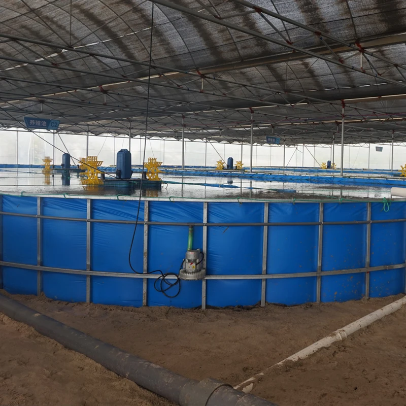 Крытое рыбоводство ras технология аквакультуры