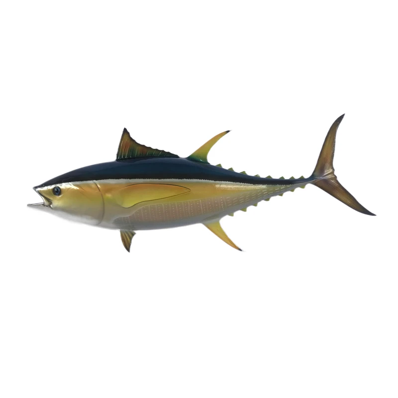 44 INCH YELLOWFIN TUNA