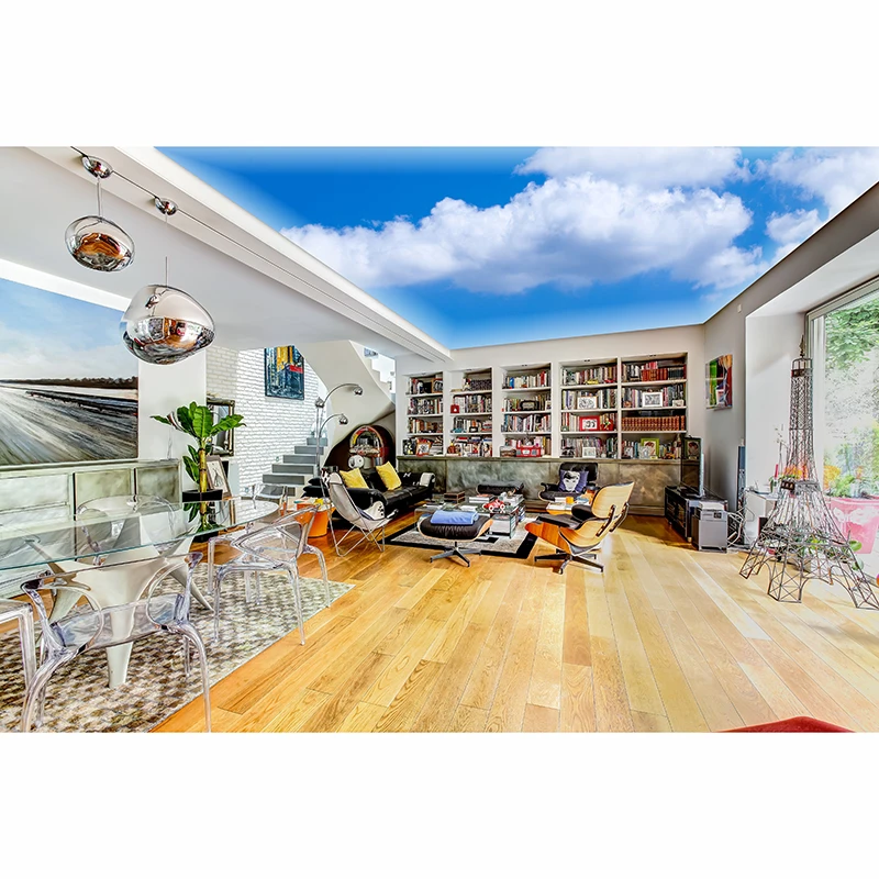 3d Projector Night Sky Fiber Ceiling Design Stretch Ceiling Accessories Buy 3d Nature Ceiling 3d Printed False Ceiling Fabric Pvc 3d Stretch Ceiling Accessories Product On Alibaba Com