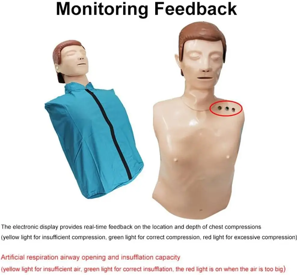 Half Body Cpr First Aid Training Manikin With Feedback Medical Model Cardiopulmonary