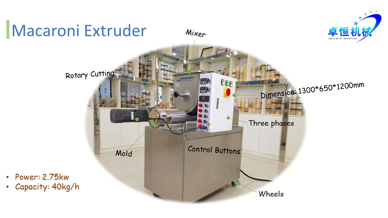 30-40kg/h Compact Macaroni Making Machine Pasta Extruder for Home-based Pasta Production